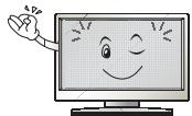 LG 49LJ5150V - Varnostne informacije in napotki - 59