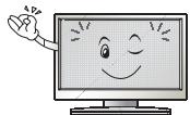 LG 49LJ5150V - PRECAUCION - 27