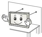 LG 49LJ5150V - PRECAUCION - 4