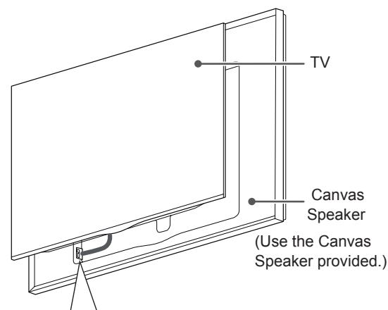 LG 55EA9709 - Canvas speaker connection - 1