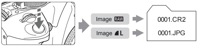 CANON EOS 400D - Guide des réglages de qualité d'enregistrement de l'image - 3
