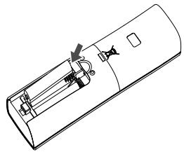LG P12RL - Inserir as pilhas - 2