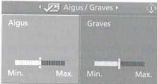 BMW X3 2006 - Aigus et graves - 2