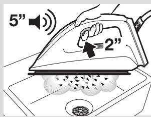 BOSCH EASYCOMFORT TDS6010 - Dscaling the iron - 5