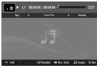 SAMSUNG LE46B550 - Muzik dosyası calma - 1