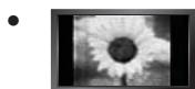SAMSUNG LE46B550 - Vorsichtsmaßnahmen beim Anzeigen von Standbildern - 1