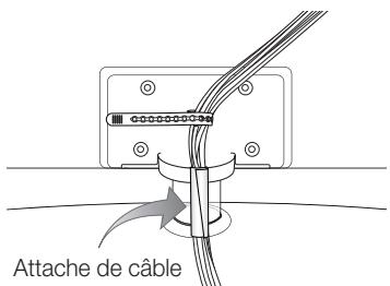 SAMSUNG LE46C654 - Assemblage des câbles - 1