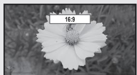 SAMSUNG LN32B460 - Size - 1