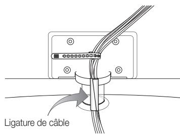SAMSUNG LN40C550J1F - Disposition des câbles - 1