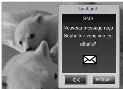 SAMSUNG PN58B650 - □ Affichage du message - 1