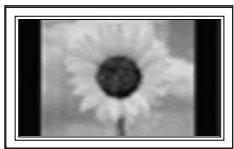SAMSUNG PN58B650 - A still image displayed too long may cause permanent damage to the PDP Panel. - 1