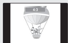 SAMSUNG PN63B550T2F - Format - 8