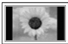 SAMSUNG PN63B550T2F - Une image fixe affichée trop longtemps peut endommager l'écran à plasma de façon permanente. - 1