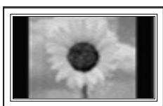 SAMSUNG PN63B550T2F - A still image displayed too long may cause permanent damage to the PDP Panel. - 1