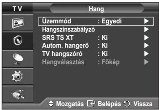SAMSUNG PS50A410C1 - Egyszerű beállítás - 1