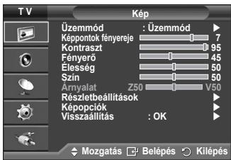 SAMSUNG PS50A410C1 - A menü megtekintése - 1