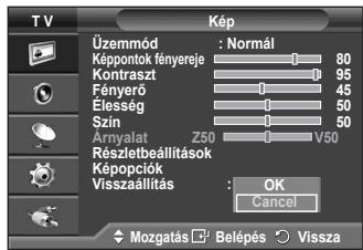 SAMSUNG PS50A410C1 - Részletesen megadhatja a képbeállításokat. - 2