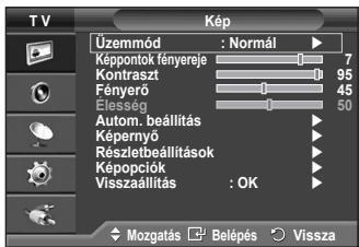 SAMSUNG PS50A410C1 - Kép visszaáll. - 1