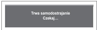 SAMSUNG PS50A410C1 - Reset obrazu: - 2