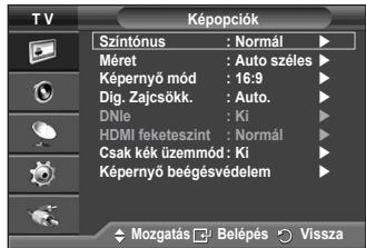 SAMSUNG PS50A410C1 - A képernyő helyzetének és méretének beállítása a Nagyítás funkcióval - 2