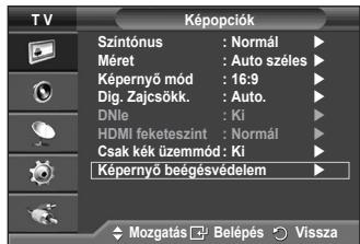 SAMSUNG PS50A410C1 - ♦ Képernyő beégésvédelem - 2