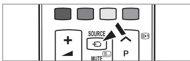 SOURCE MUTE P