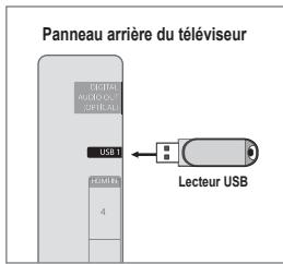 Panneau arrière du téléviseur FÉGICULT AUDIO-OUT OPTICLAB USB 1 RAMIER 4 Lecteur USB