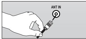 ANT IN