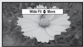 Wide Fit → Move