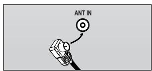 ANT IN