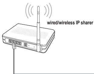 wired/wireless IP sharer
