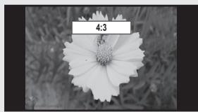 SAMSUNG UN46B7100WF - Size - 5