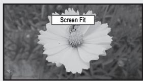 Screen Fit
