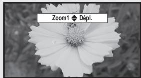 Zoom1 Dépl.