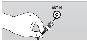 ANT IN