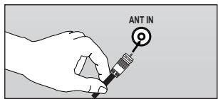ANT IN