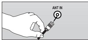 ANT IN