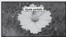 Ajuste pantalla