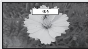 SAMSUNG UN46B8500XF - Format - 1