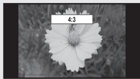 SAMSUNG UN46B8500XF - Information, modification - 4