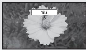 SAMSUNG UN46B8500XF - Size - 2