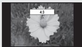 SAMSUNG UN46B8500XF - Size - 6
