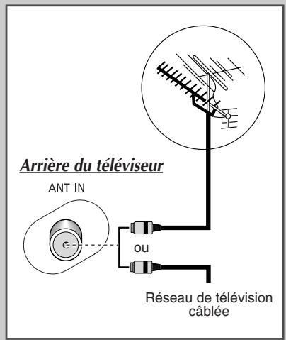SAMSUNG WS-32Z30HE - Branchement à un réseau de télévision câlée ou hertzienne - 1