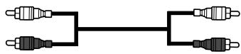SAMSUNG WS-32Z30HE - Branchement de la sortie audio - 3