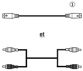 SAMSUNG WS-32Z30HE - Branchement d'une entrée s-video - 2