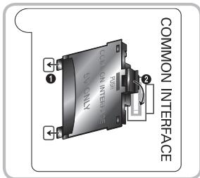 COMMON INTERFACE SALONLY 1 2