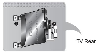 KNO NS COON INTERFACE PULL TV Rear