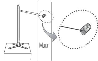 Muur