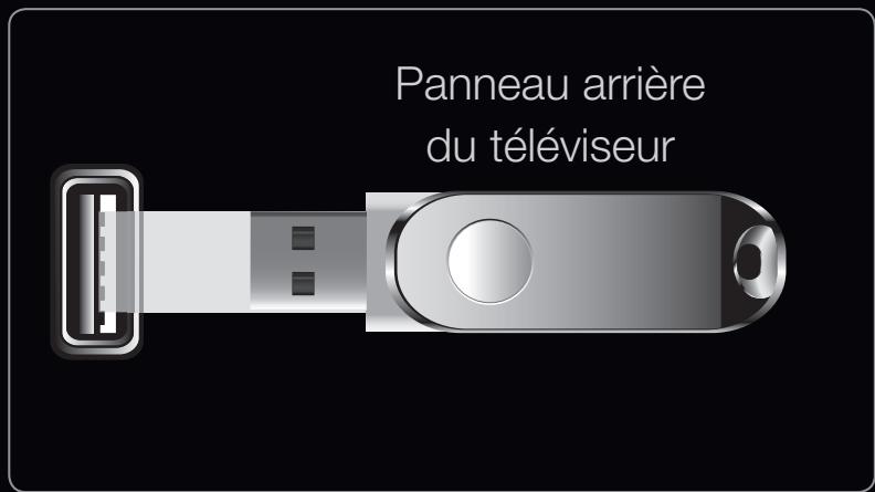 Panneau arrière du téléviseur