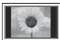 SAMSUNG PS51E8000GQ - - La visualizzazione prolungata di un'immagine fissa potrebbe causare un danno permanente al pannello PDP. - 1